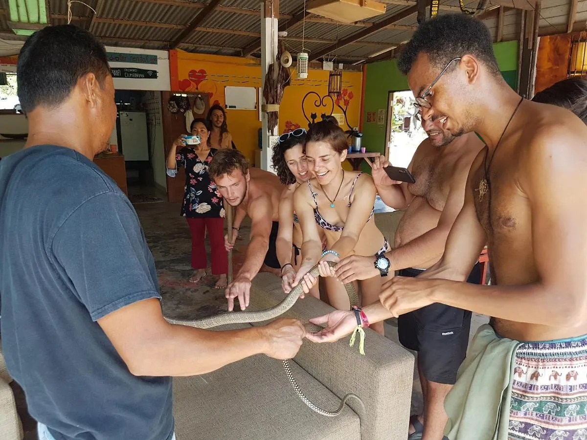 Slacklines Hostel Ko Lanta Thailandia